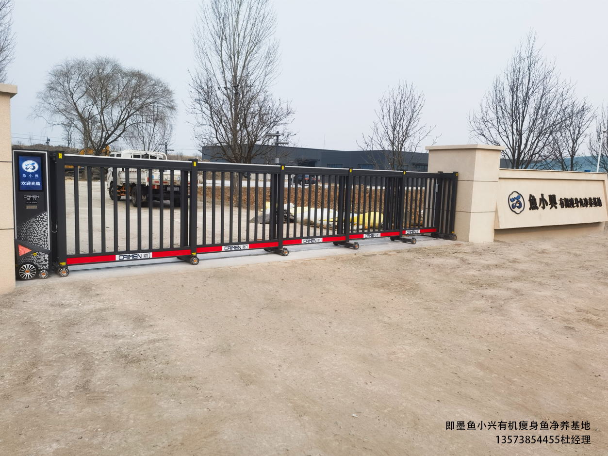即墨鱼小兴有机瘦身鱼净养基地 招财案例